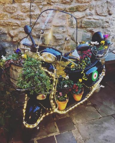 The Plume Of Feathers